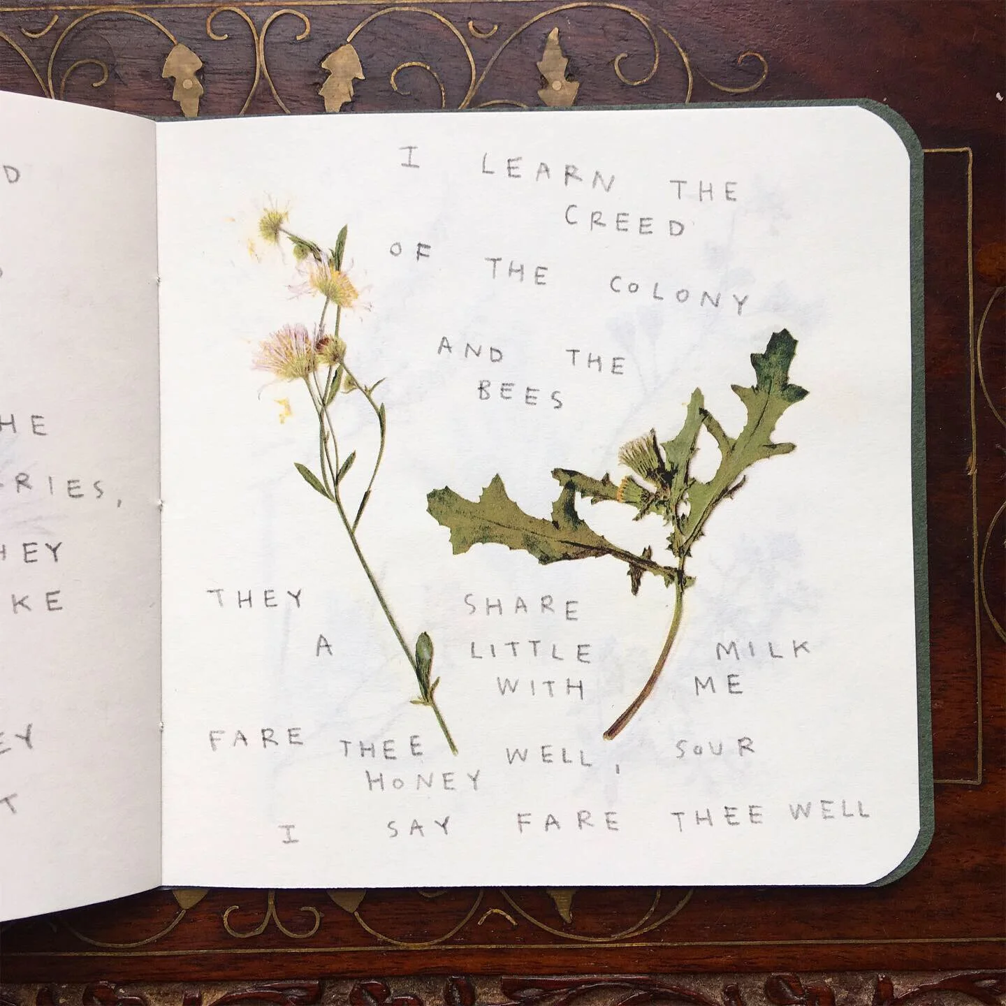 3298D0FA-D7A6-4F68-9ABB-AF0C083246B4