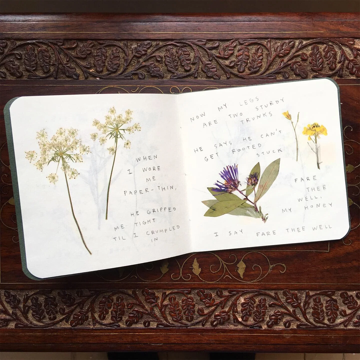 36D3E586-D841-4DD5-9DBF-FB0F35CF10A0