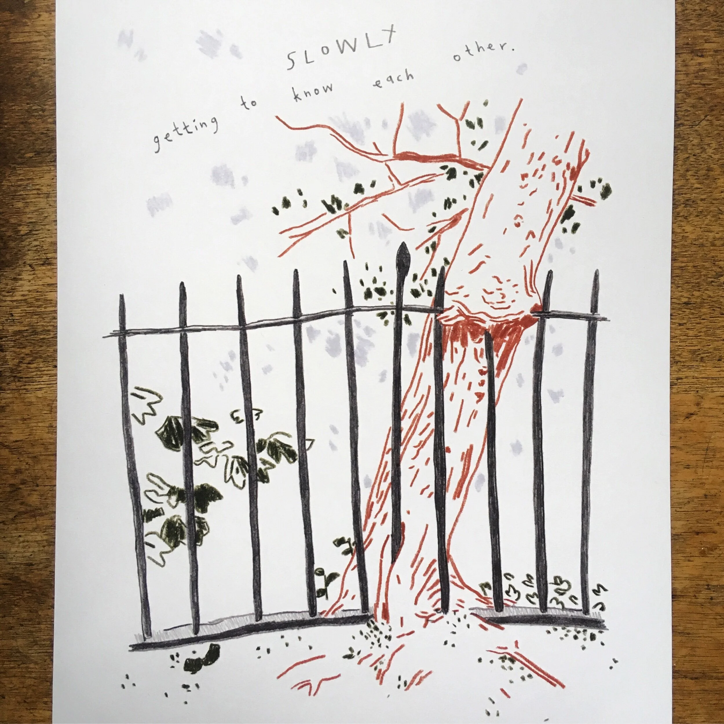 04AE6523-15B4-4410-8A33-BF92FE012C9E