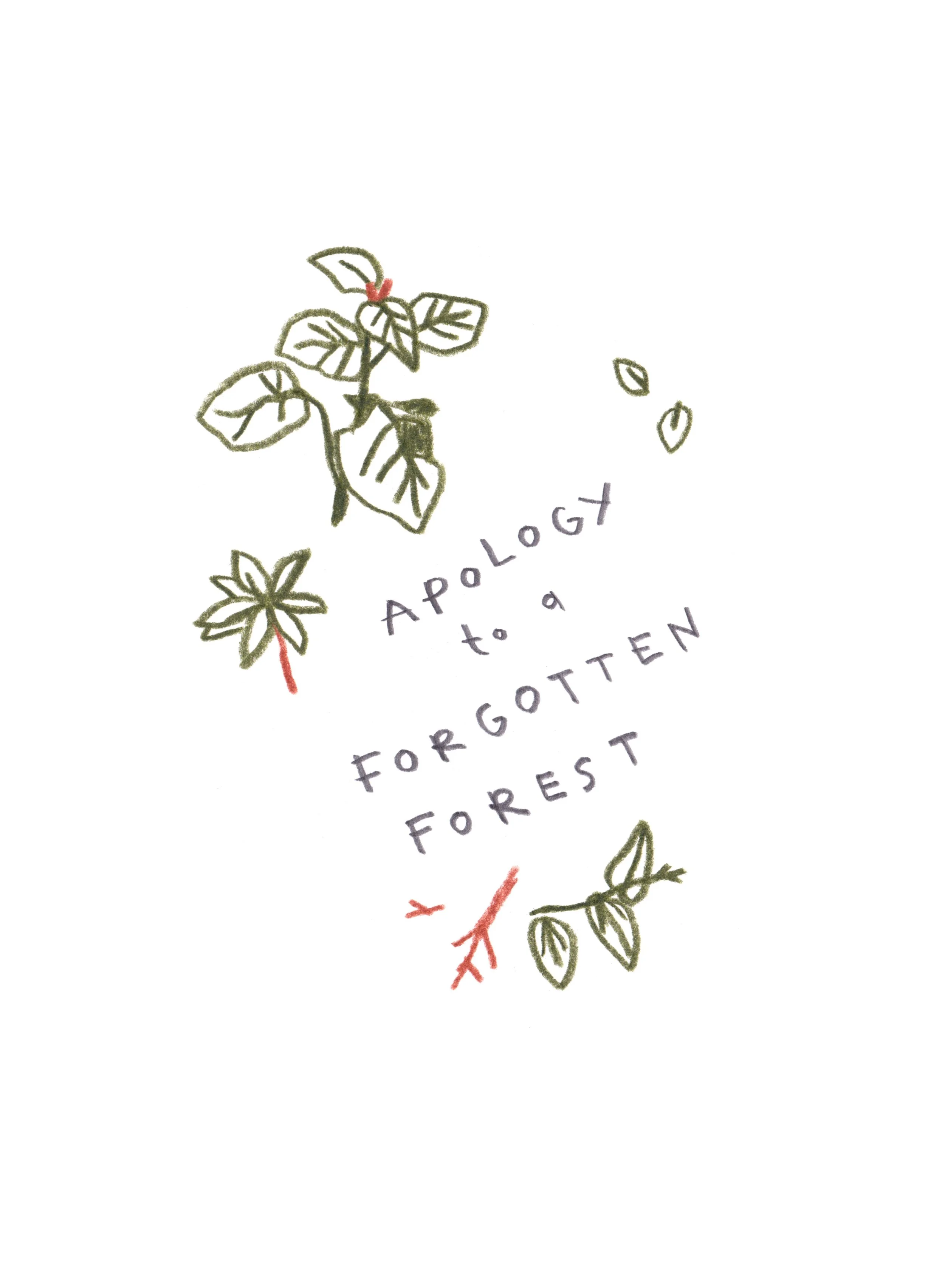 WB 01 Forgotten Forest.jpeg