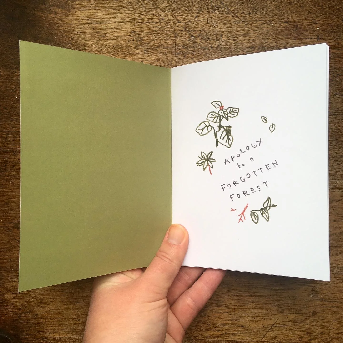 AE003978-1911-4BA8-86C8-5C02A8383060