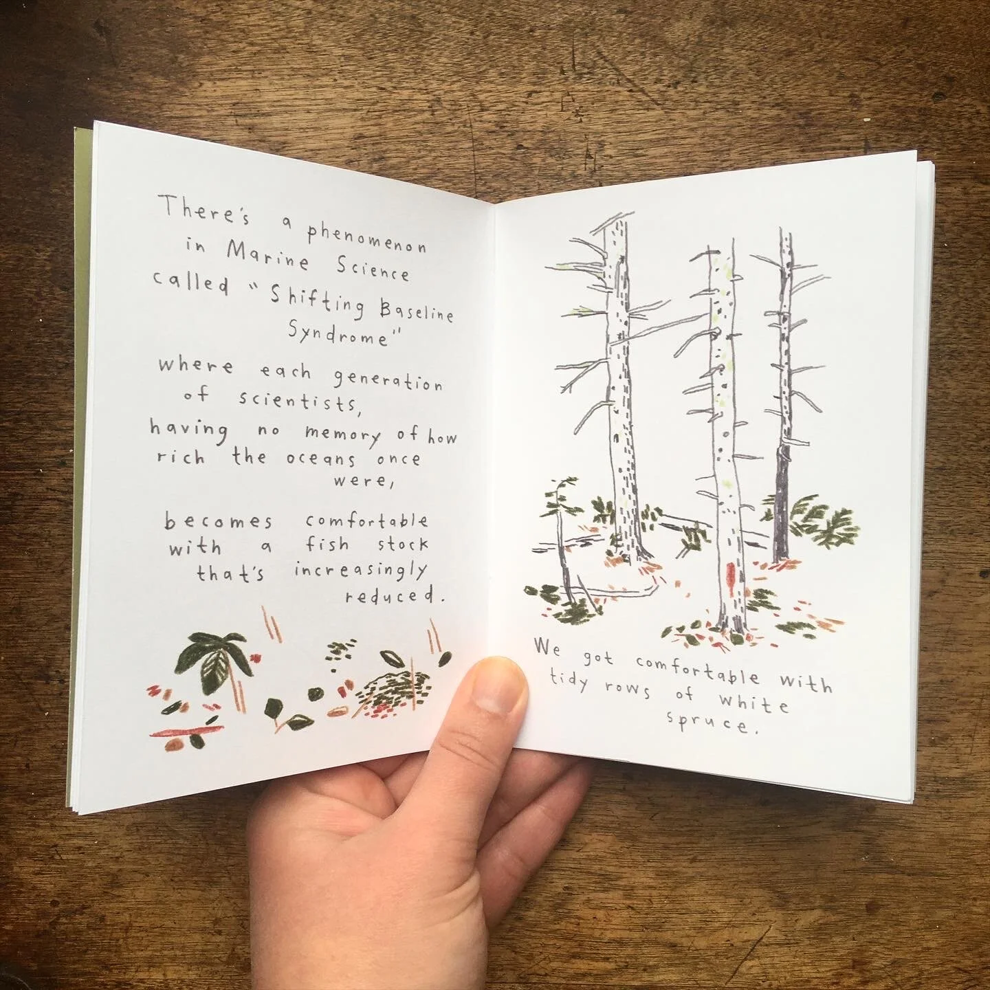 6B0EE646-FF4D-44E9-81E5-99CDECE8C3FD