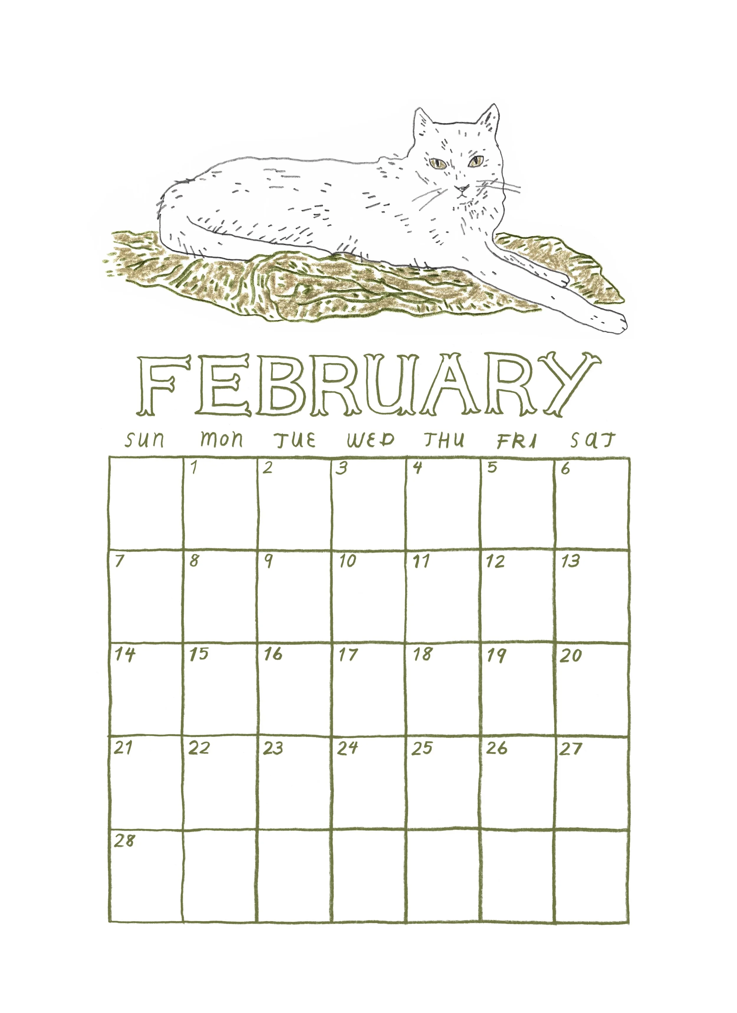 02 February white cat.jpg