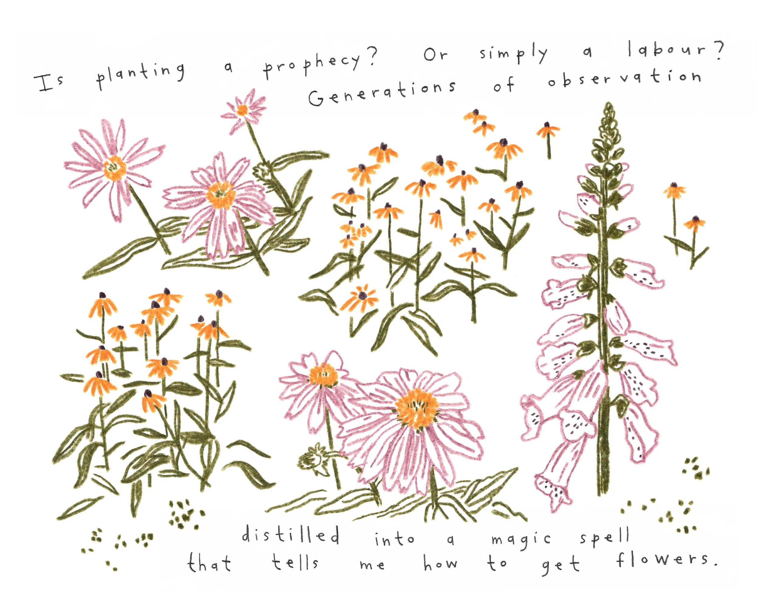 Magic Spell Garden.jpg