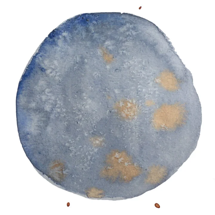 öpüşenler_bloblar_0000_Layer 6.jpg