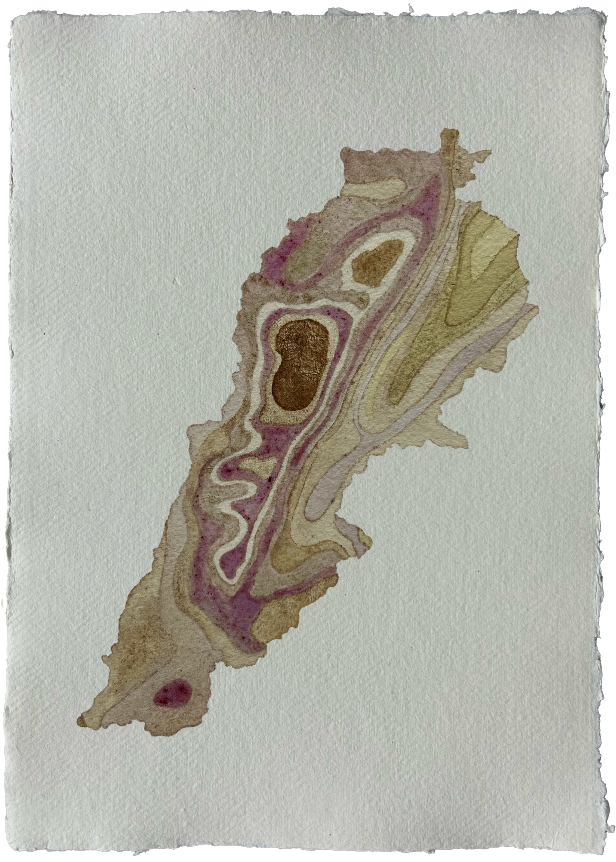 MAP RAIN w paper.png