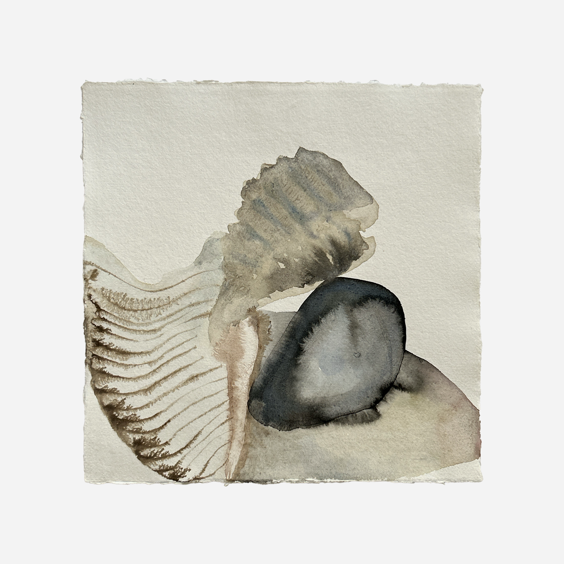 Eavesdropper / 30 x 30 cm, 2024