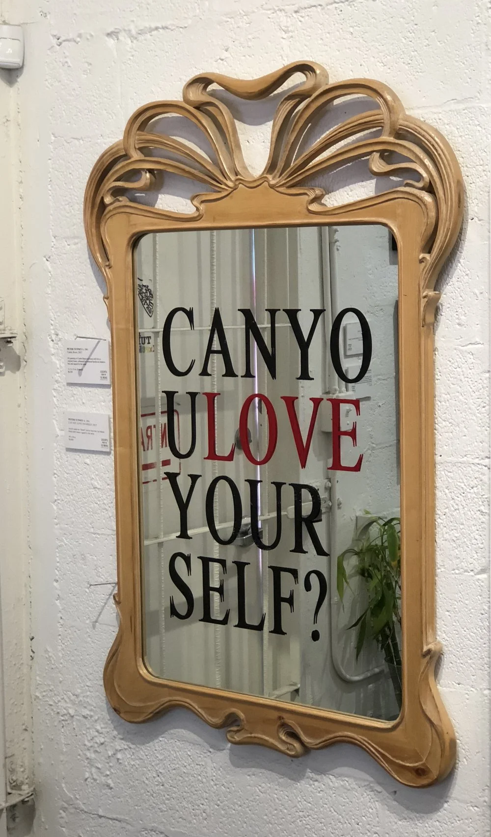 selfie+mirror.jpg