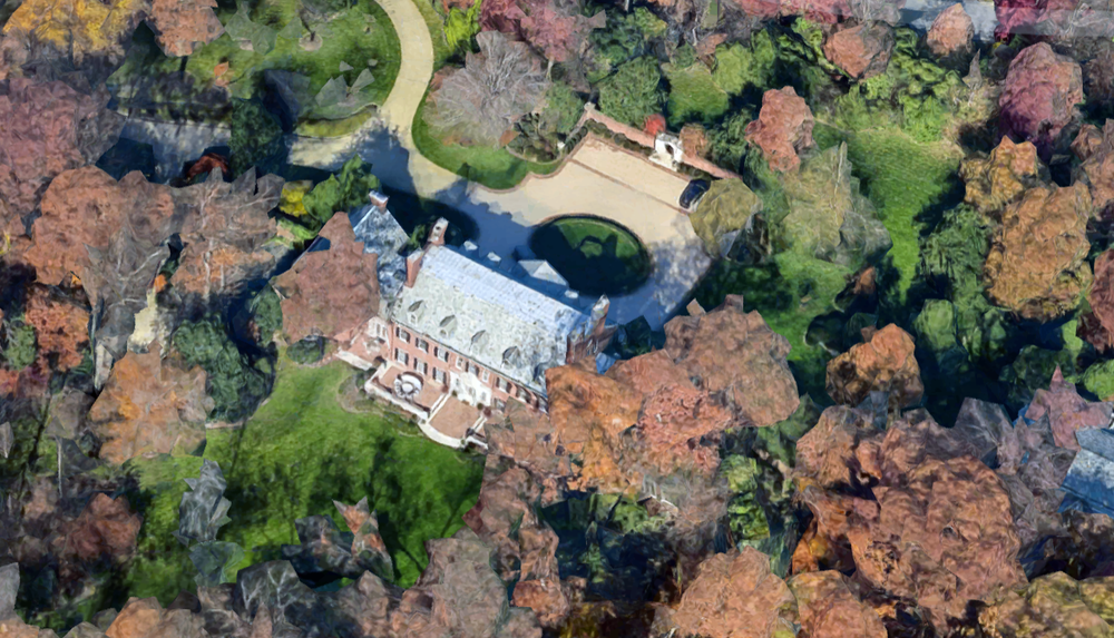 Living Rockefeller Descendants Today