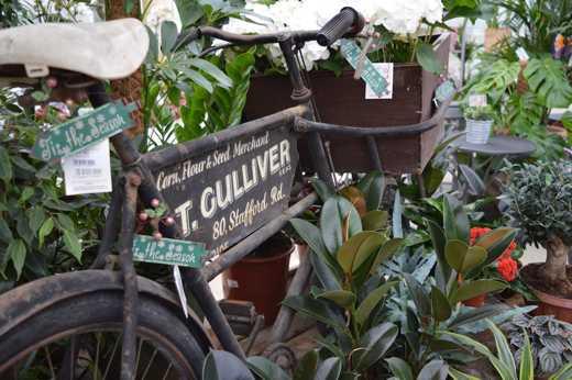 Lawrence (aka Tink) is owner of Wallington Nursery and has spent his life growing and supplying the plants you love. 