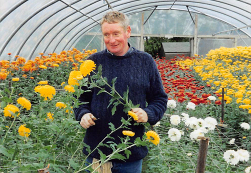 You'll never find Willie far behind. He too is an avid grower and has spent over 40 years at the Wallington Nursery site.