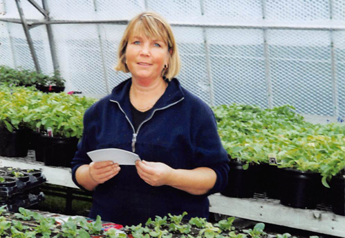 You will find Steph tending the plants in Wallington Nursery today. 