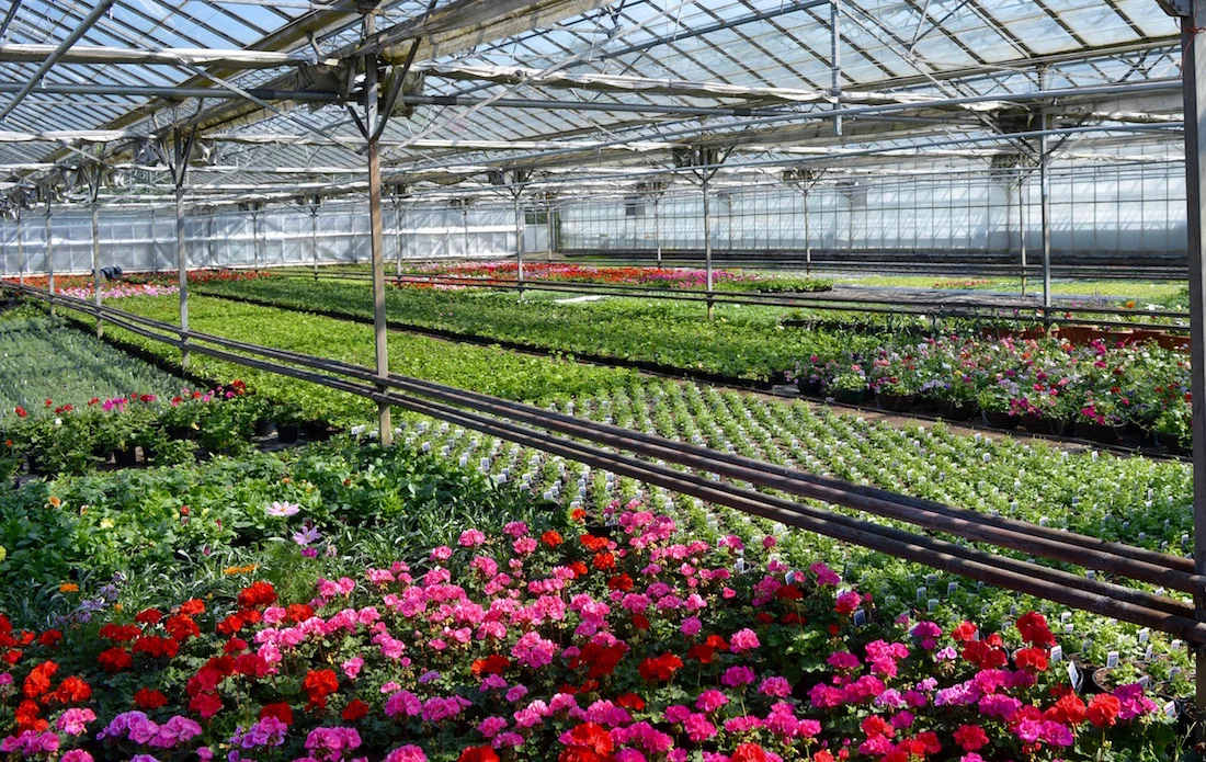 grenhouse home banner.jpeg