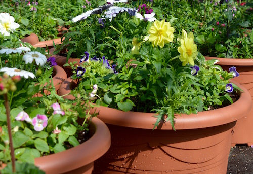 Container bedding