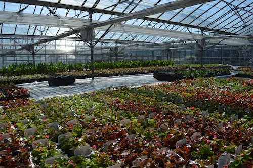 Pack bedding
