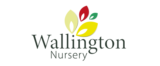 Wallington Nursery - Locally Grown Flowers and Plants