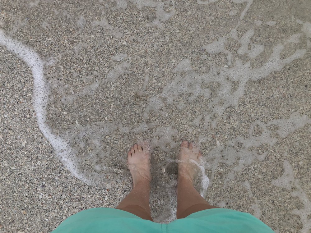 November 4 | Sarasota, FL