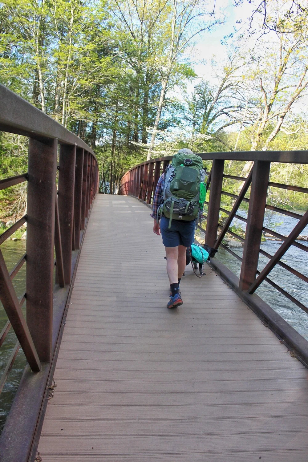 JPEG image-32591AA6AE17-1.jpeg