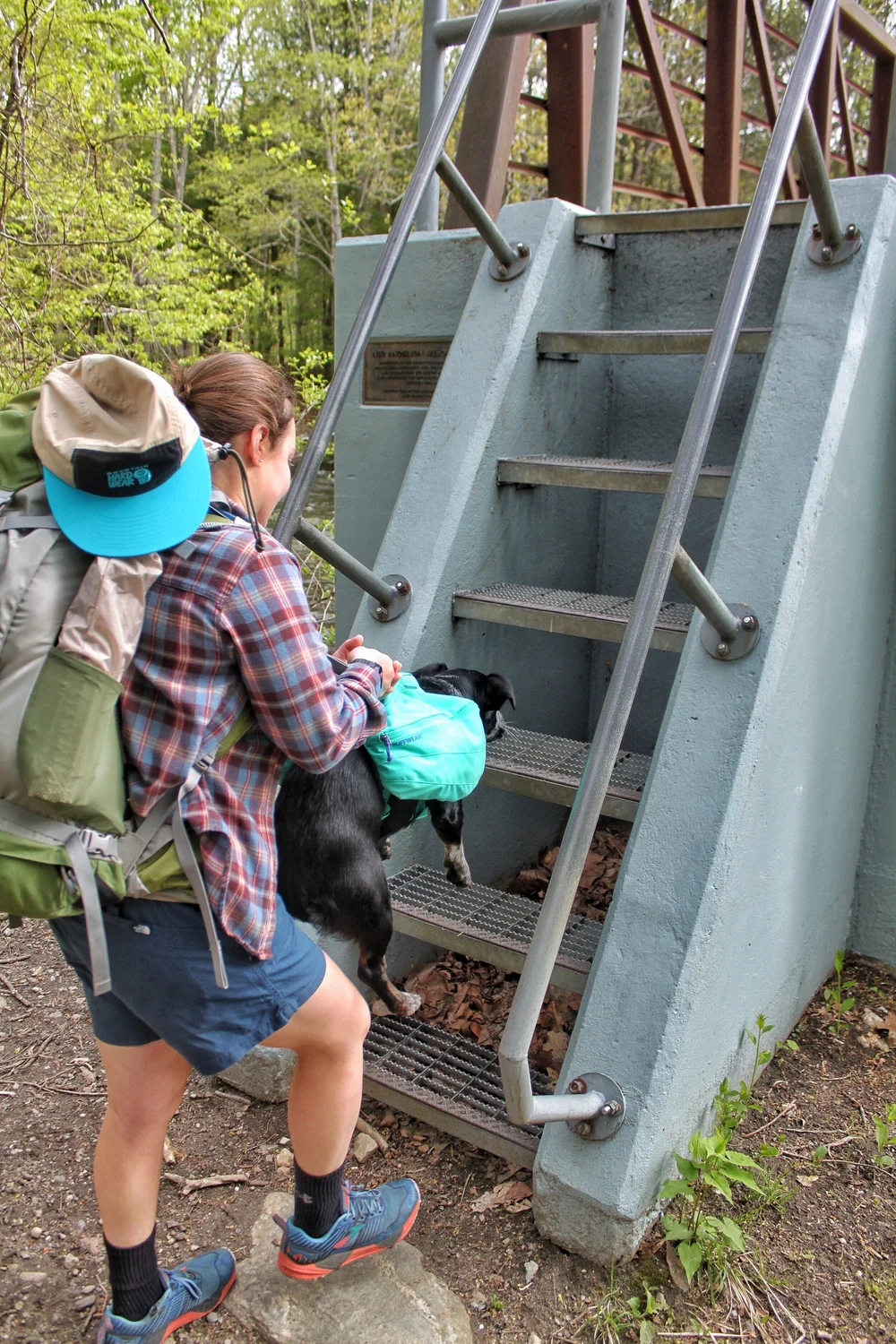 JPEG image-66C18CD120E5-1.jpeg