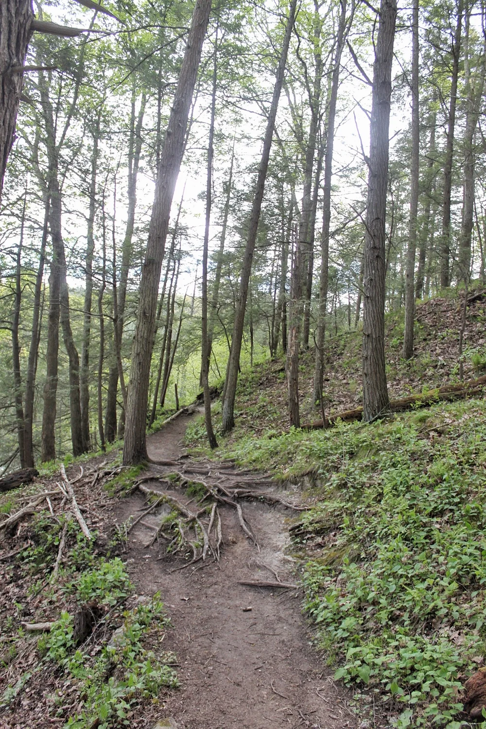 JPEG image-98973C1EB901-1.jpeg