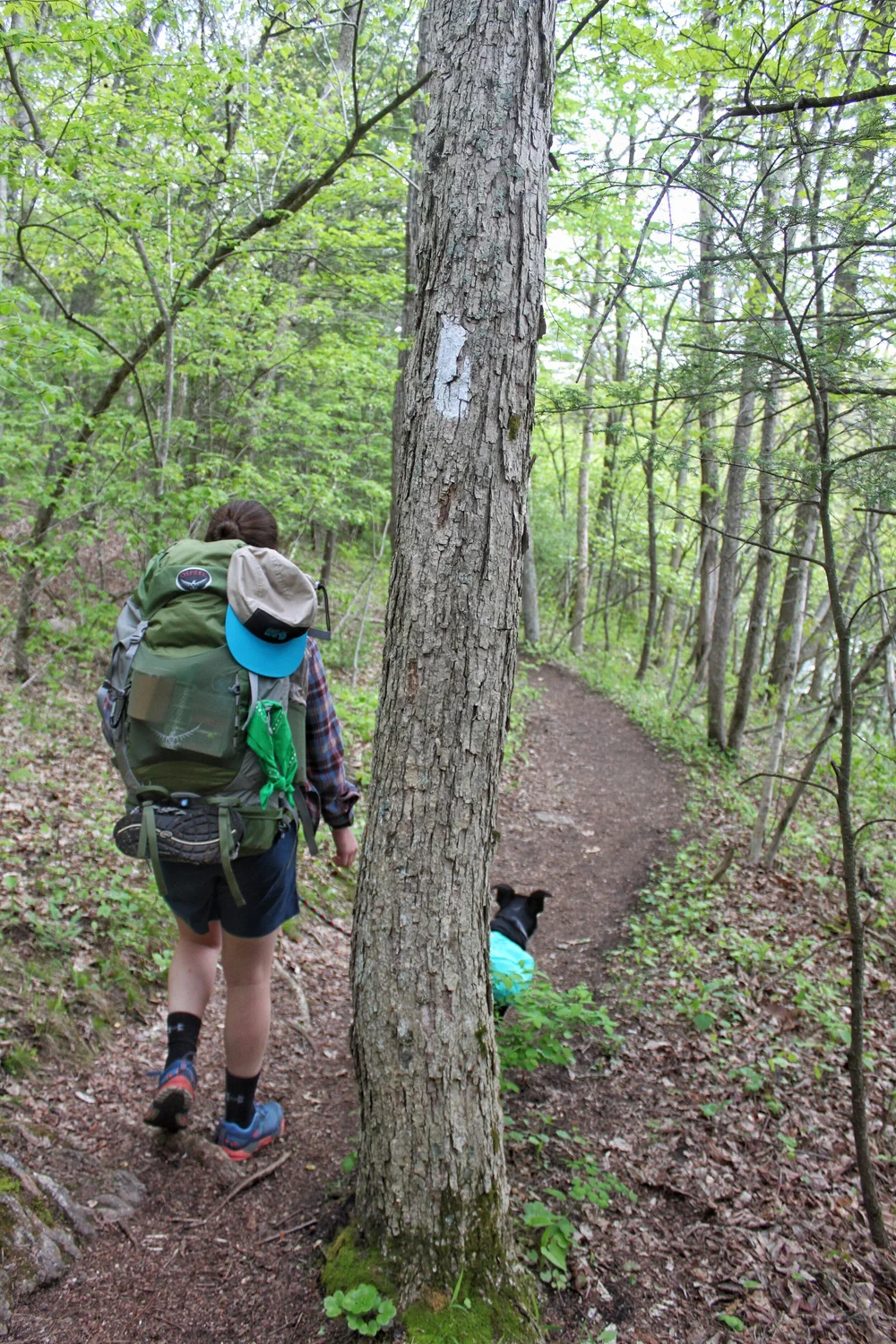 JPEG image-37DB6A1F64C9-1.jpeg