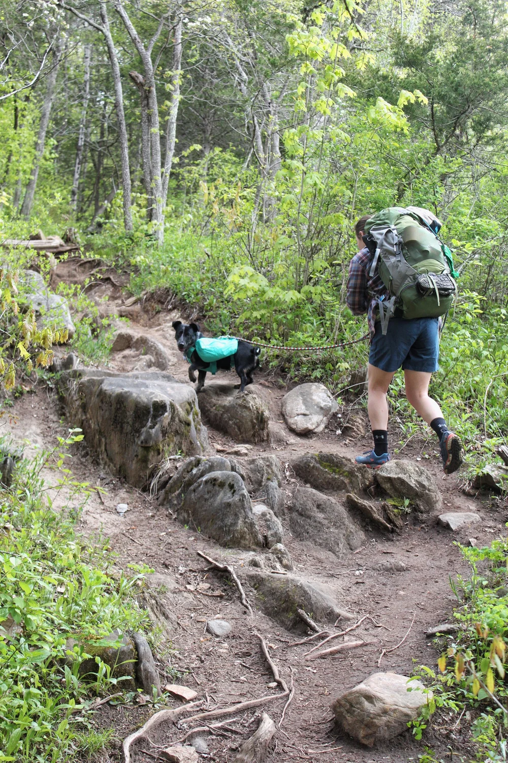 JPEG image-00C3755C8982-1.jpeg