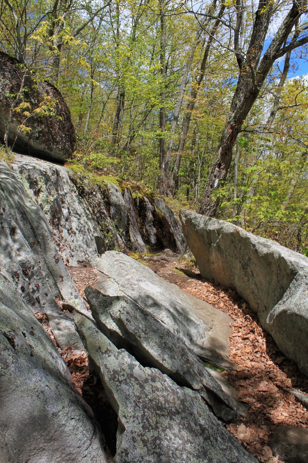 JPEG image-A8B2FF70FC41-1.jpeg