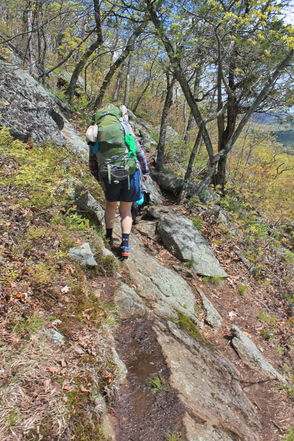 JPEG image-B213949FB068-1.jpeg