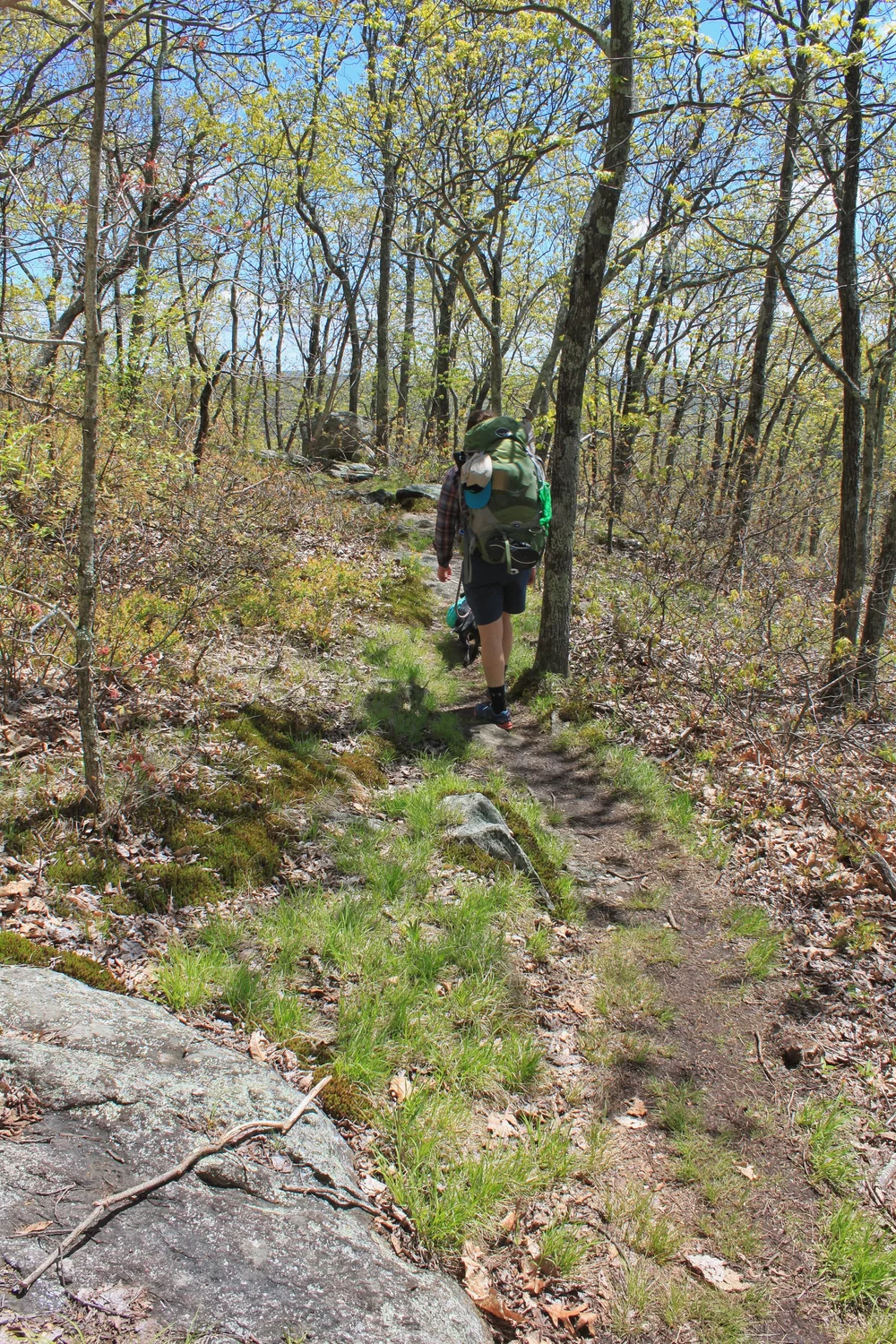 JPEG image-D0CA956E0BB5-1.jpeg