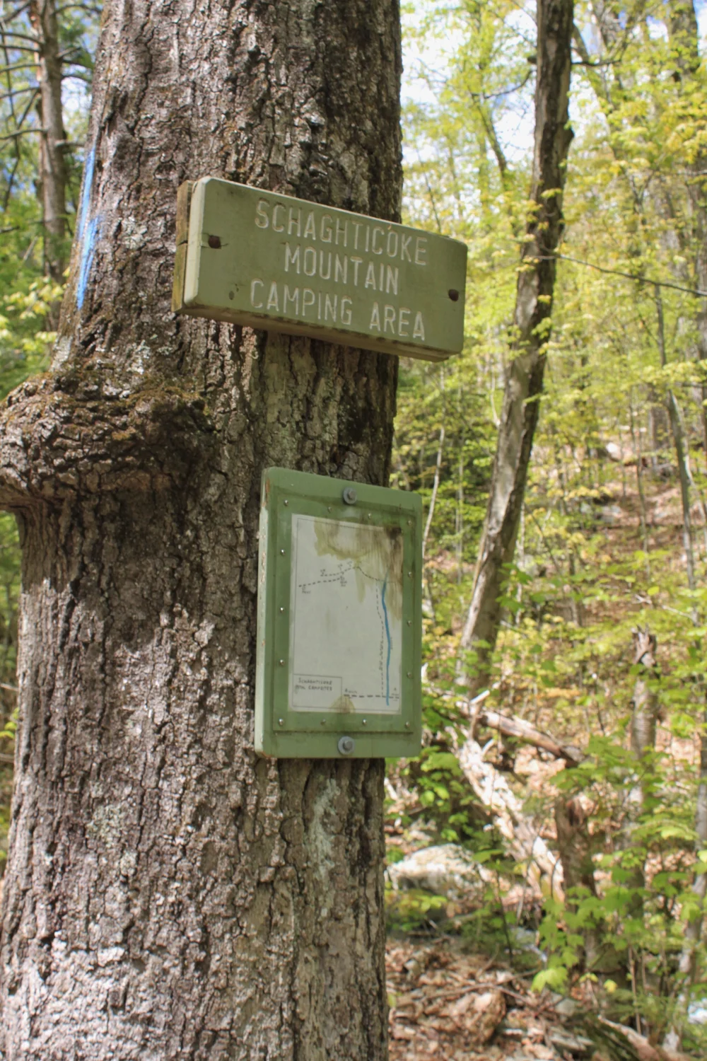 JPEG image-8264404E7D36-1.jpeg