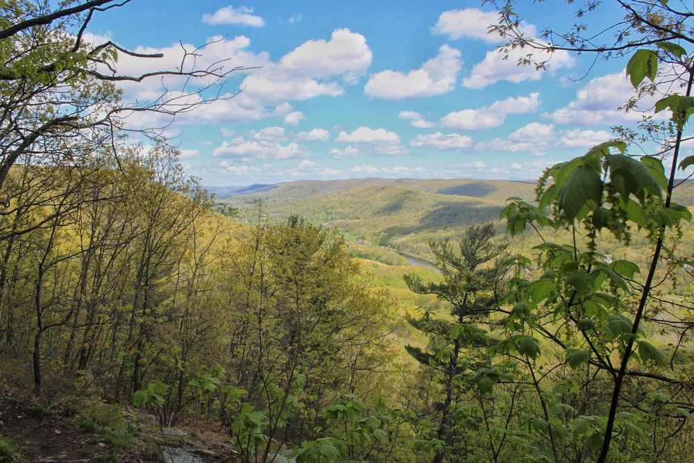 JPEG image-E721E97AC731-1.jpeg