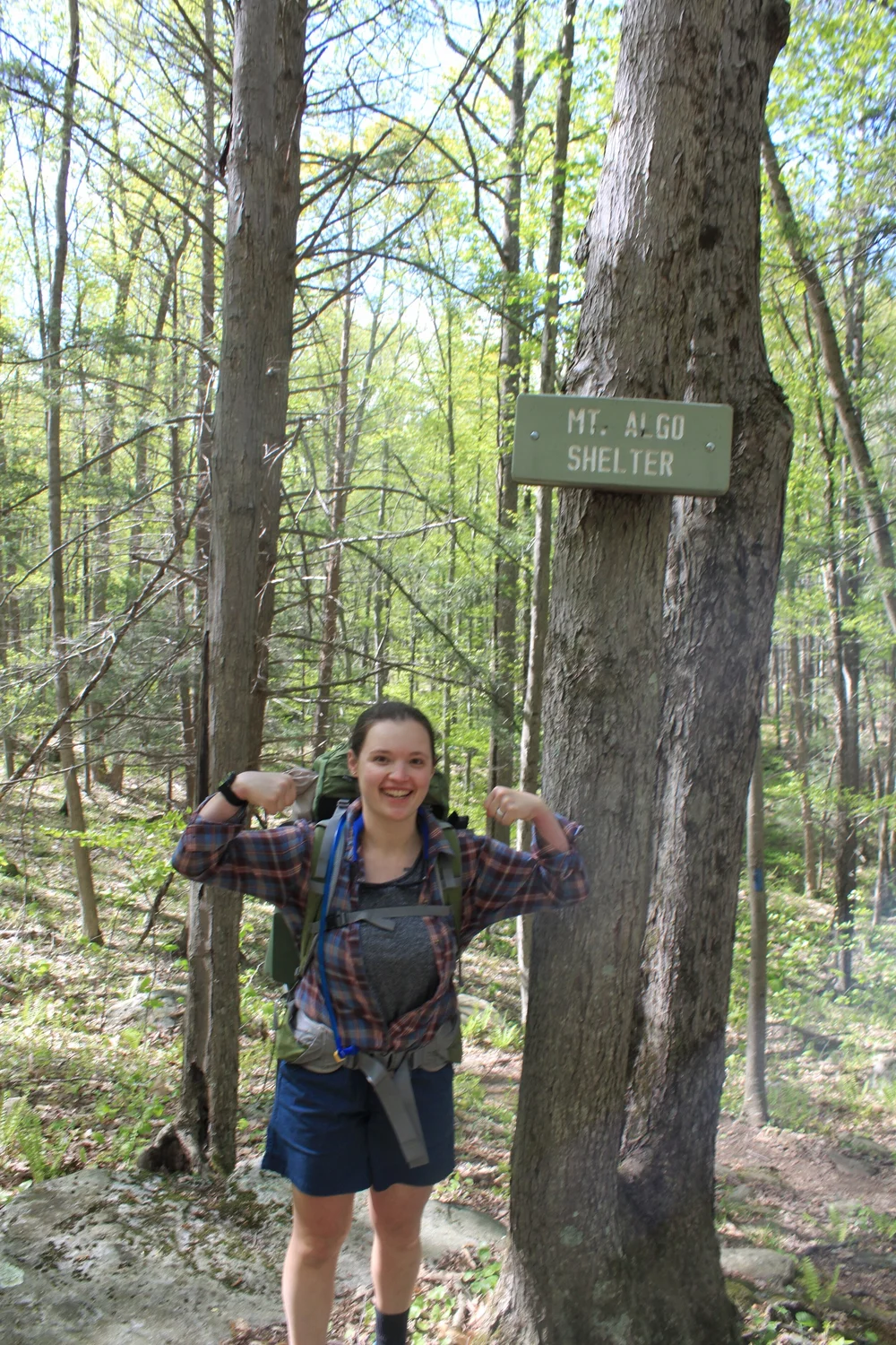 JPEG image-52D05F1C8401-1.jpeg