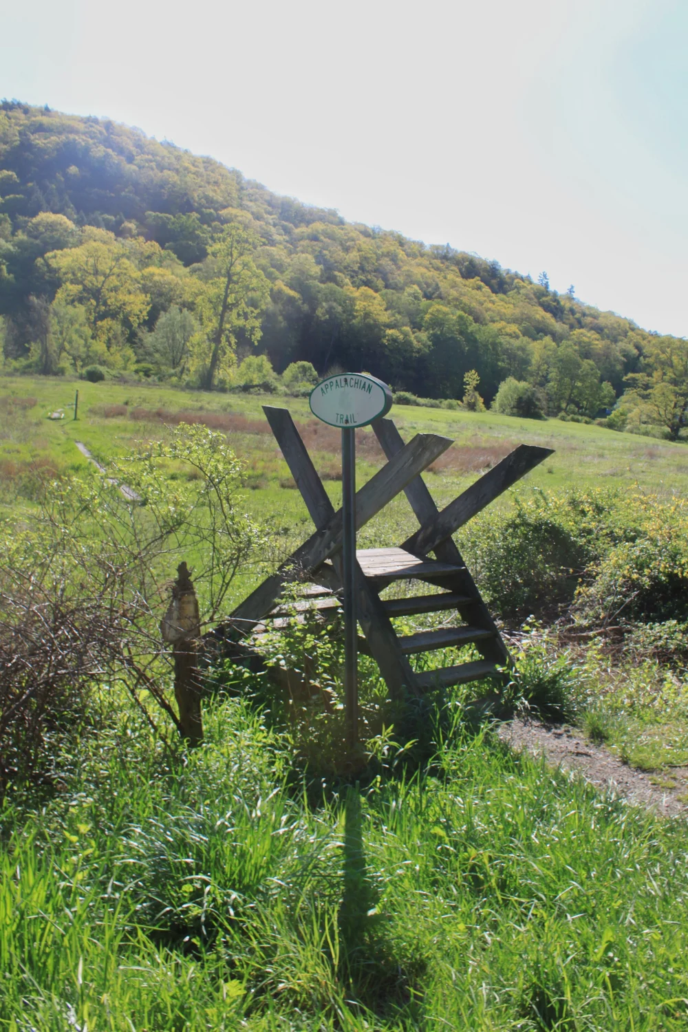 JPEG image-1A861FA64A04-1.jpeg