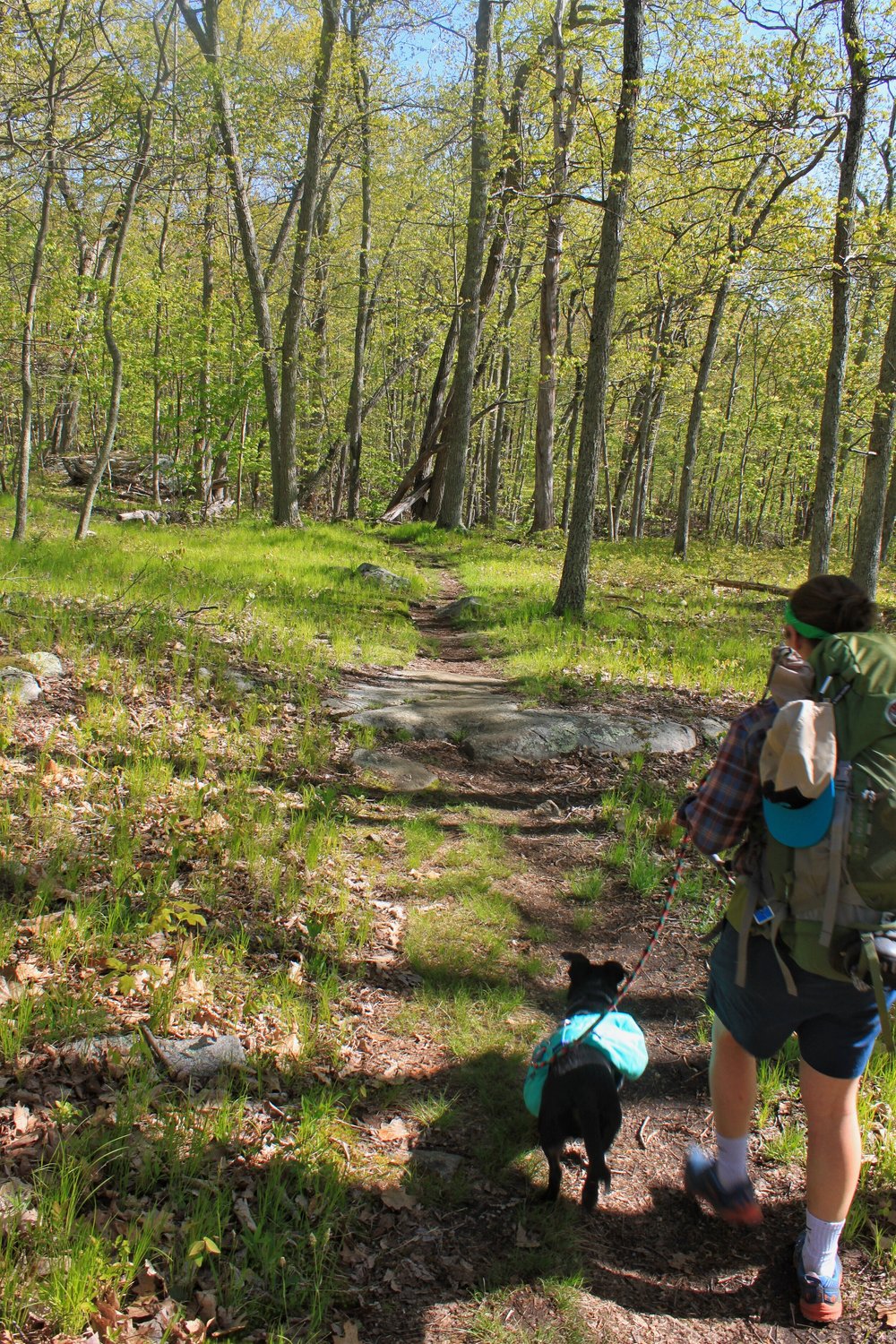 JPEG image-F0DA36C9642A-1.jpeg