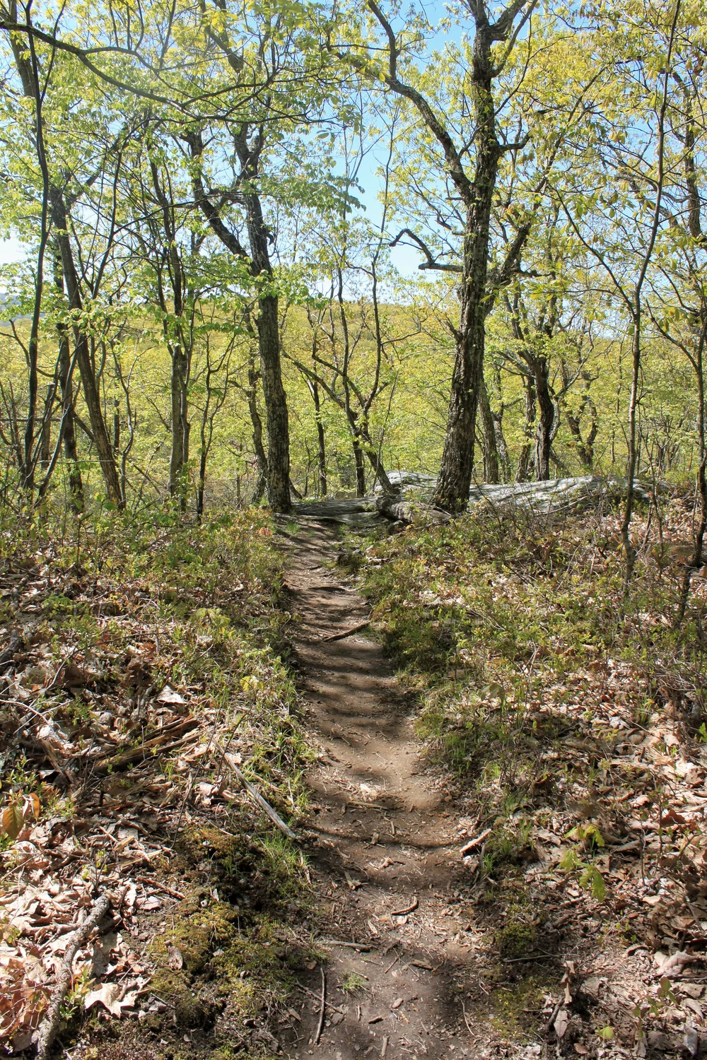 JPEG image-A4DB0370E31D-1.jpeg