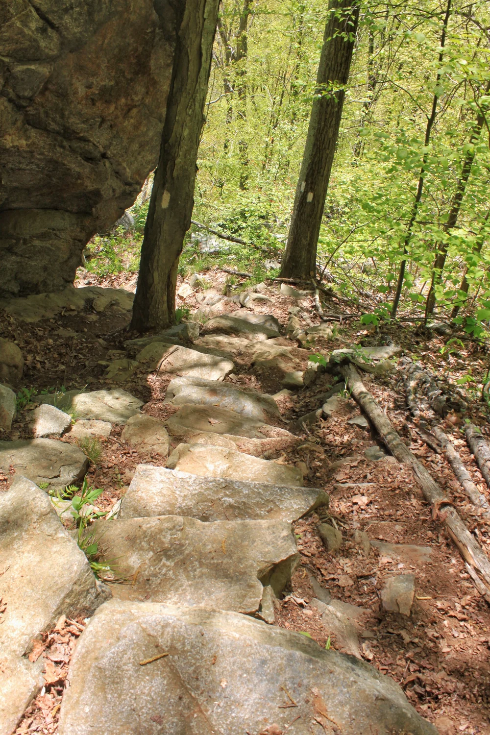 JPEG image-C279F7B51A60-1.jpeg