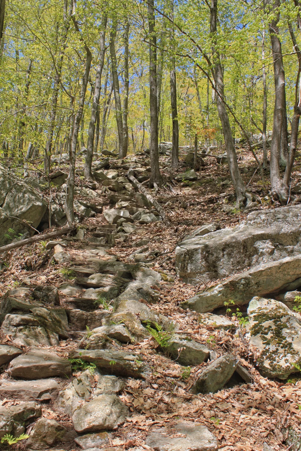 JPEG image-B0613DAB576B-1.jpeg