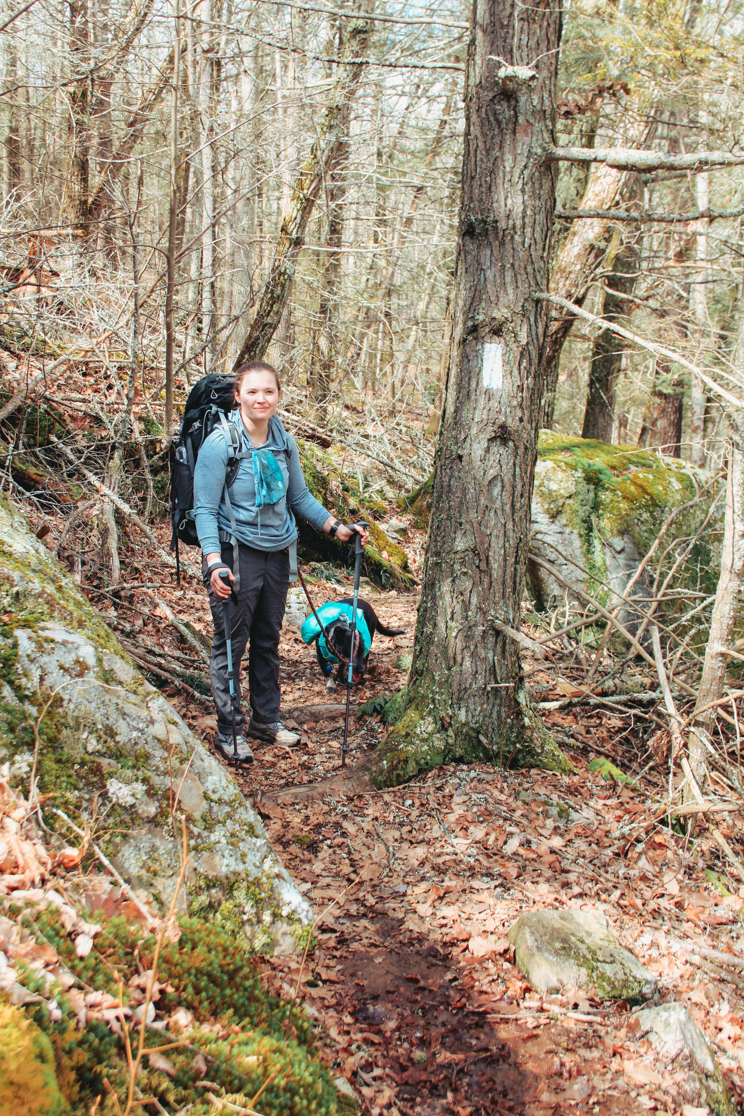           The Appalachian Trail: Connecticut Miles 16.2 - 27.4