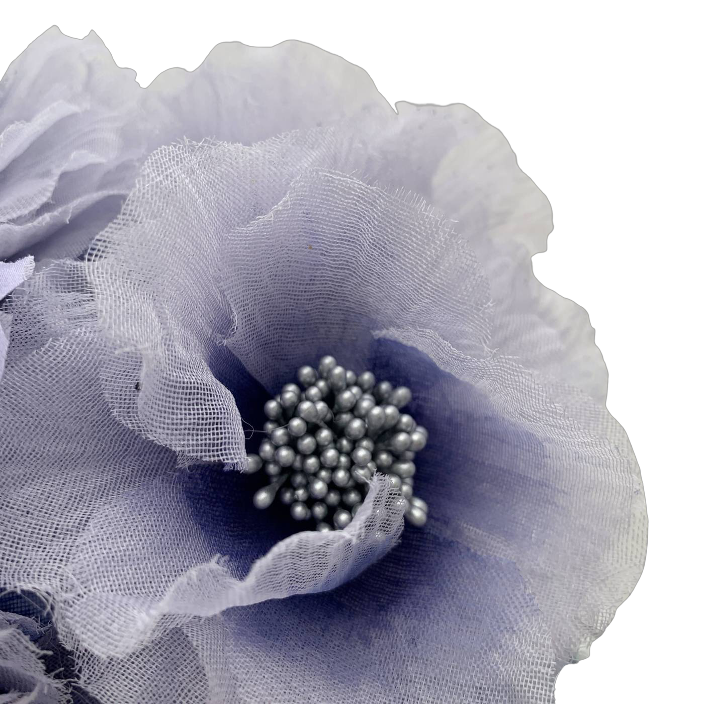 IMG_0218.PNG