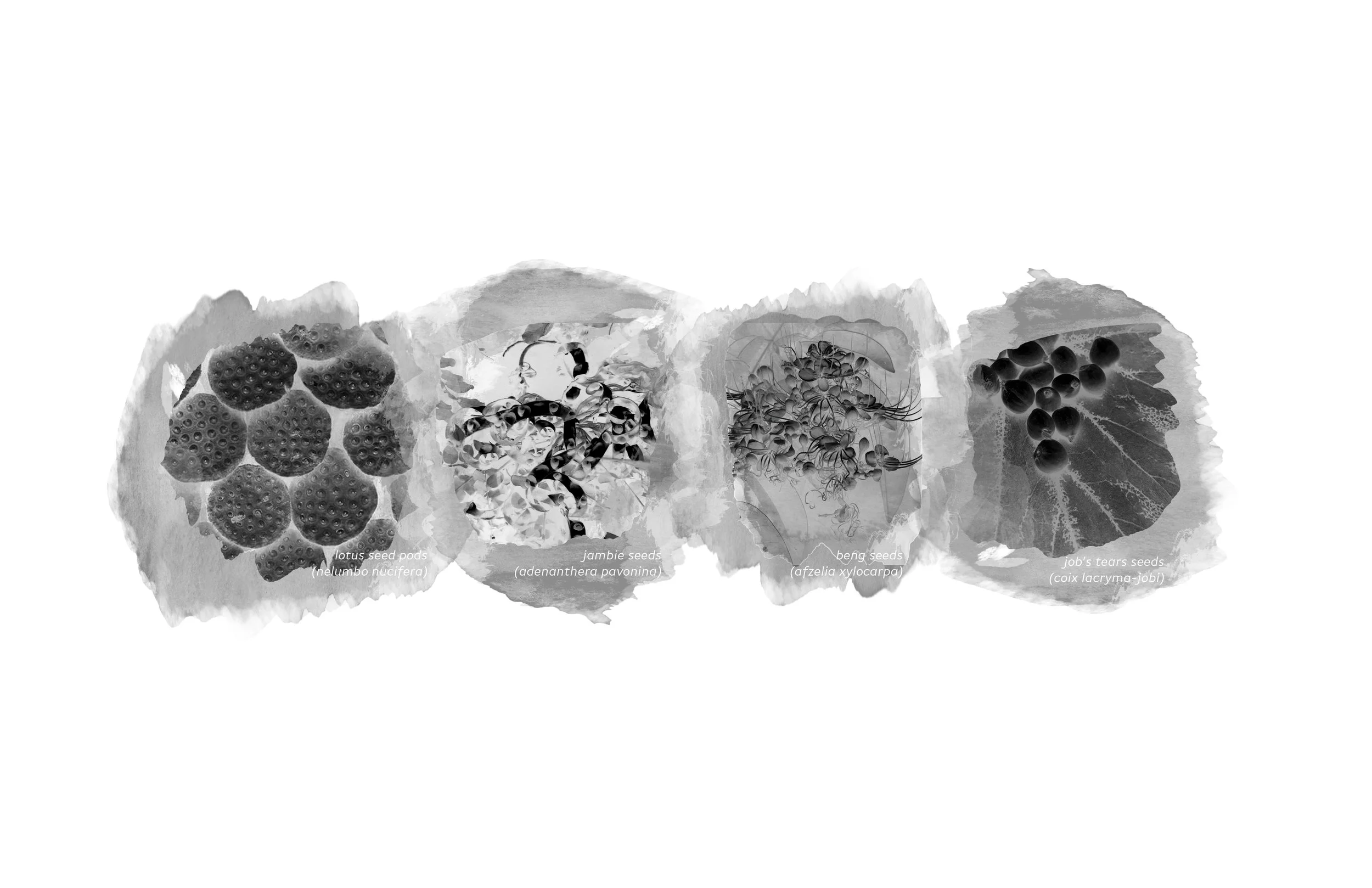 current updated-4.jpg