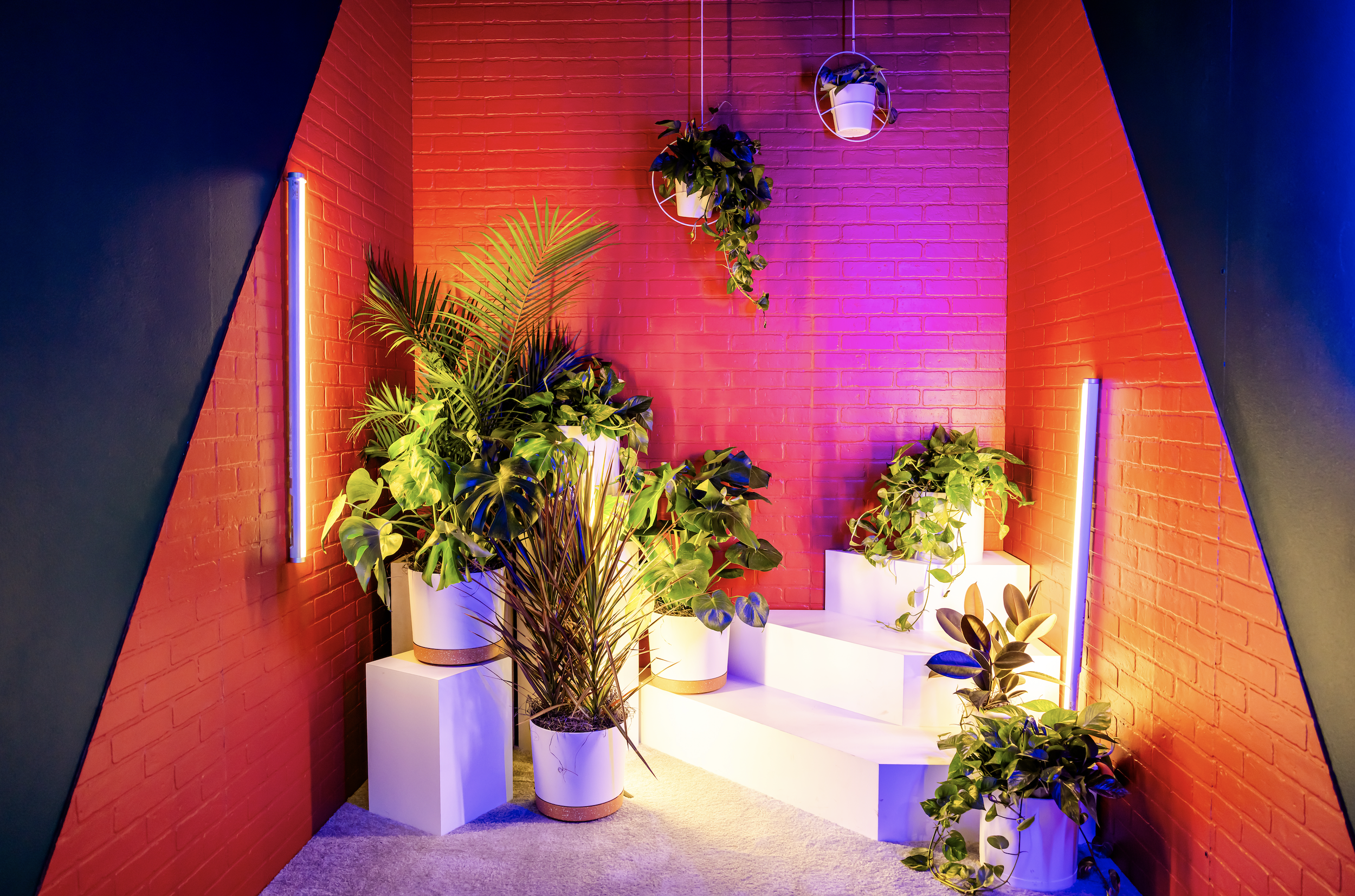 Screenshot 2024-05-30 at 12.57.23 PM.png