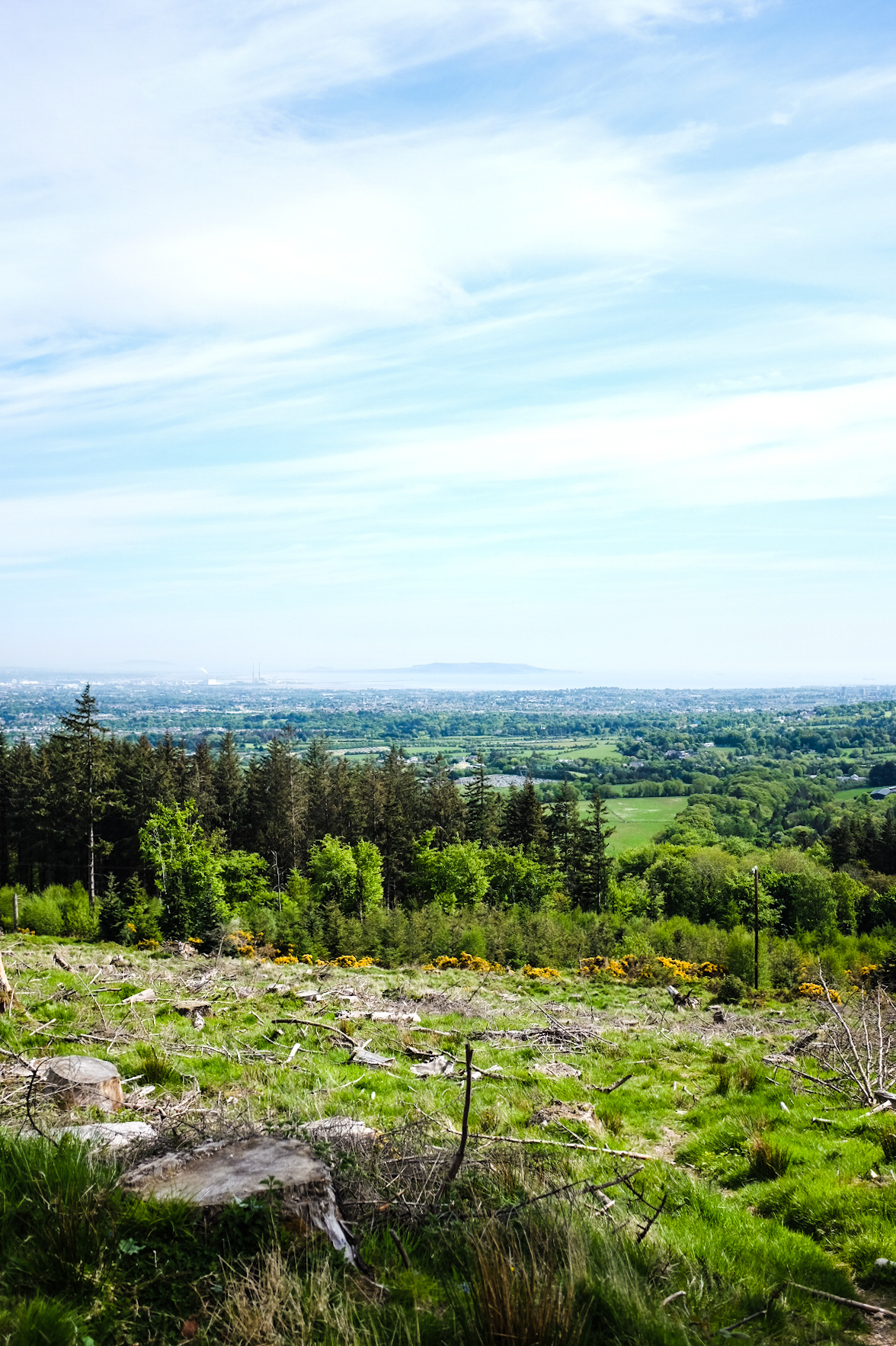 LRM_EXPORT_20180520_223019_1.jpg