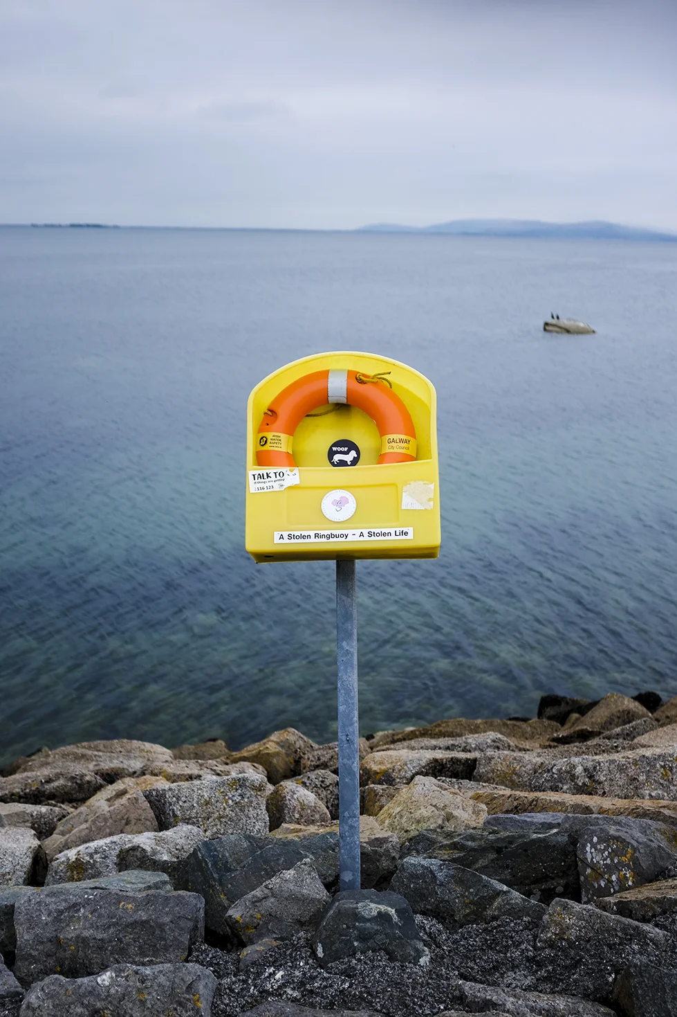 Galway June 18_50.jpg
