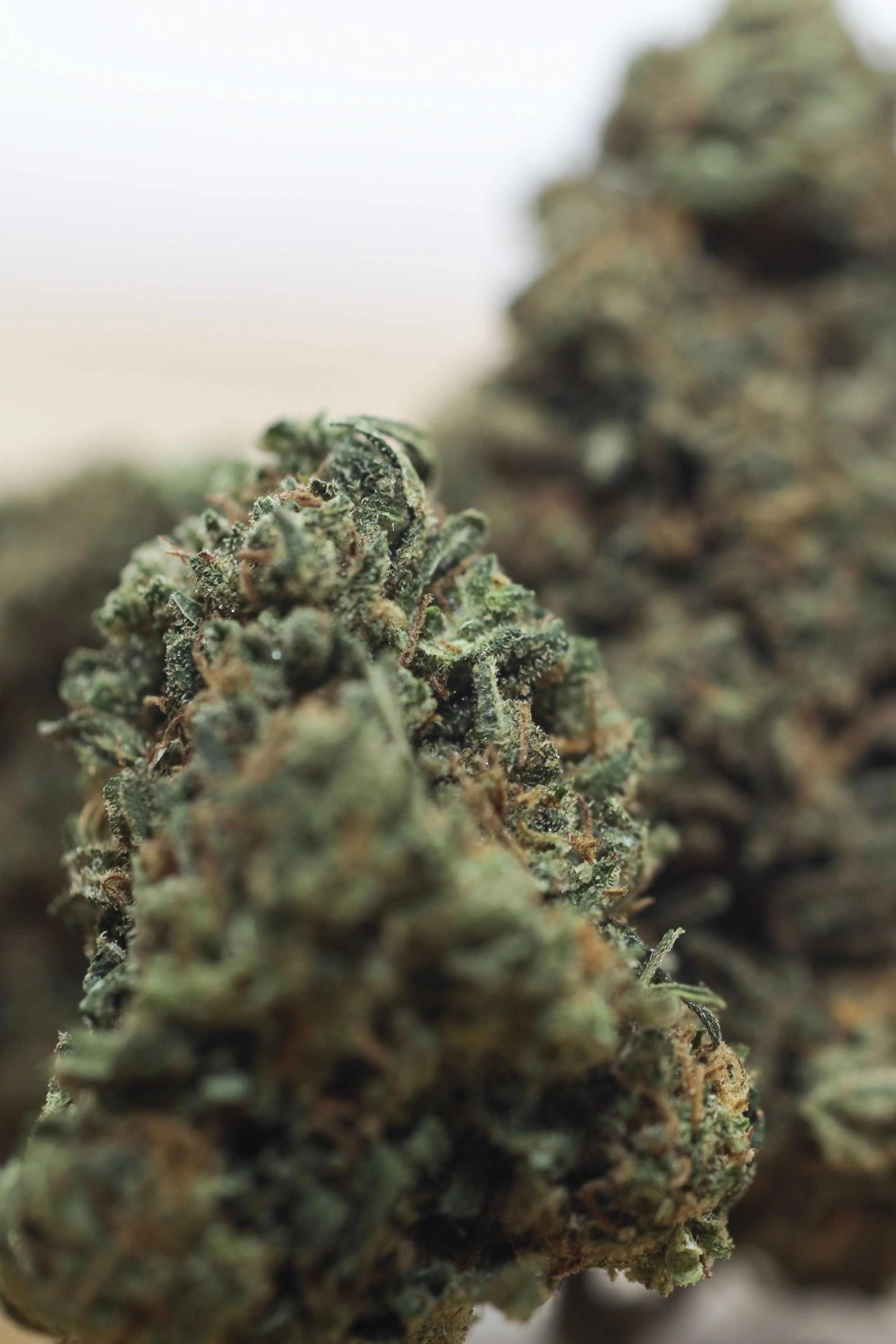 CBD PORTFOLIO - 065.JPG