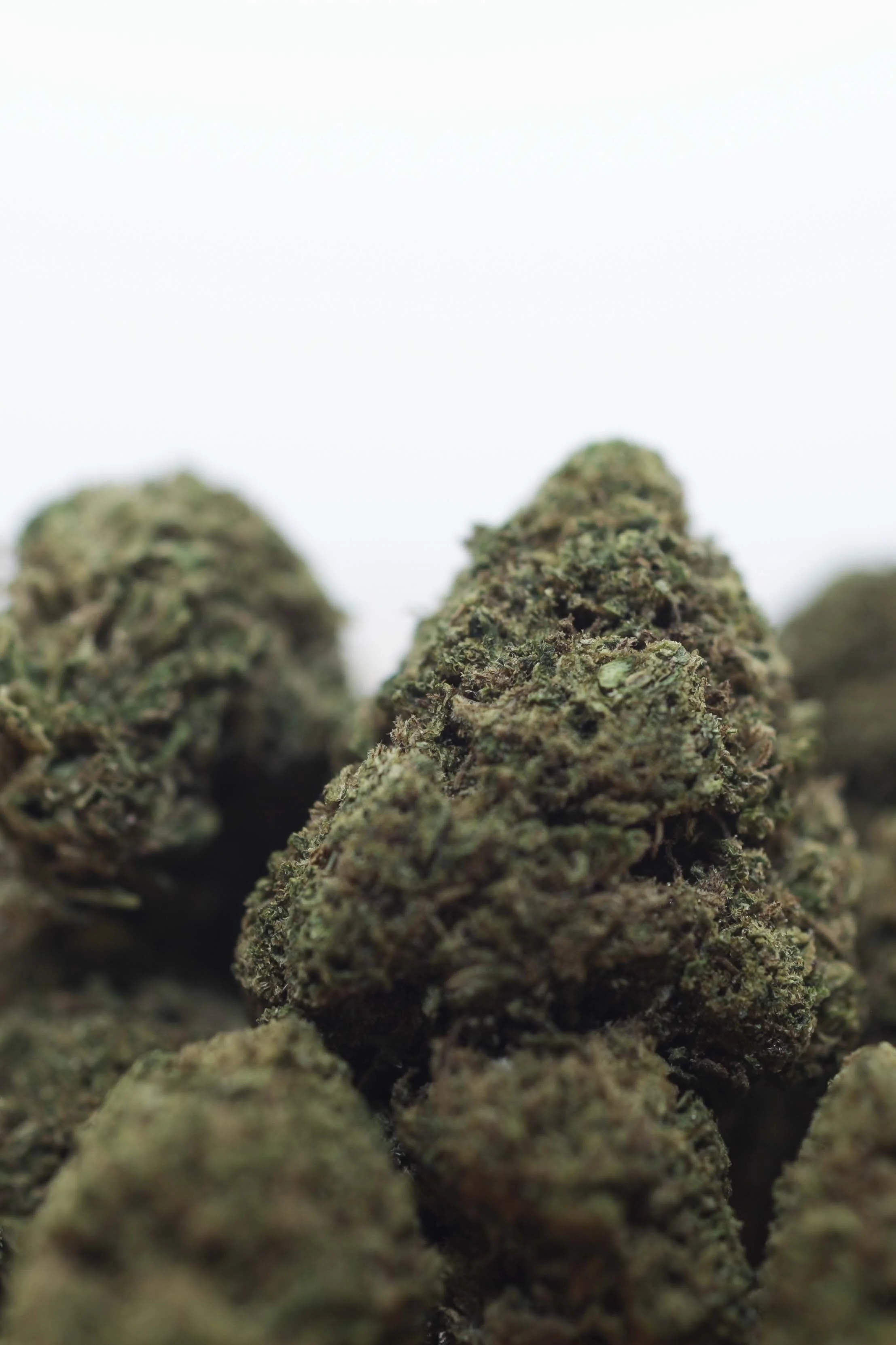 CBD PORTFOLIO - 002.JPG