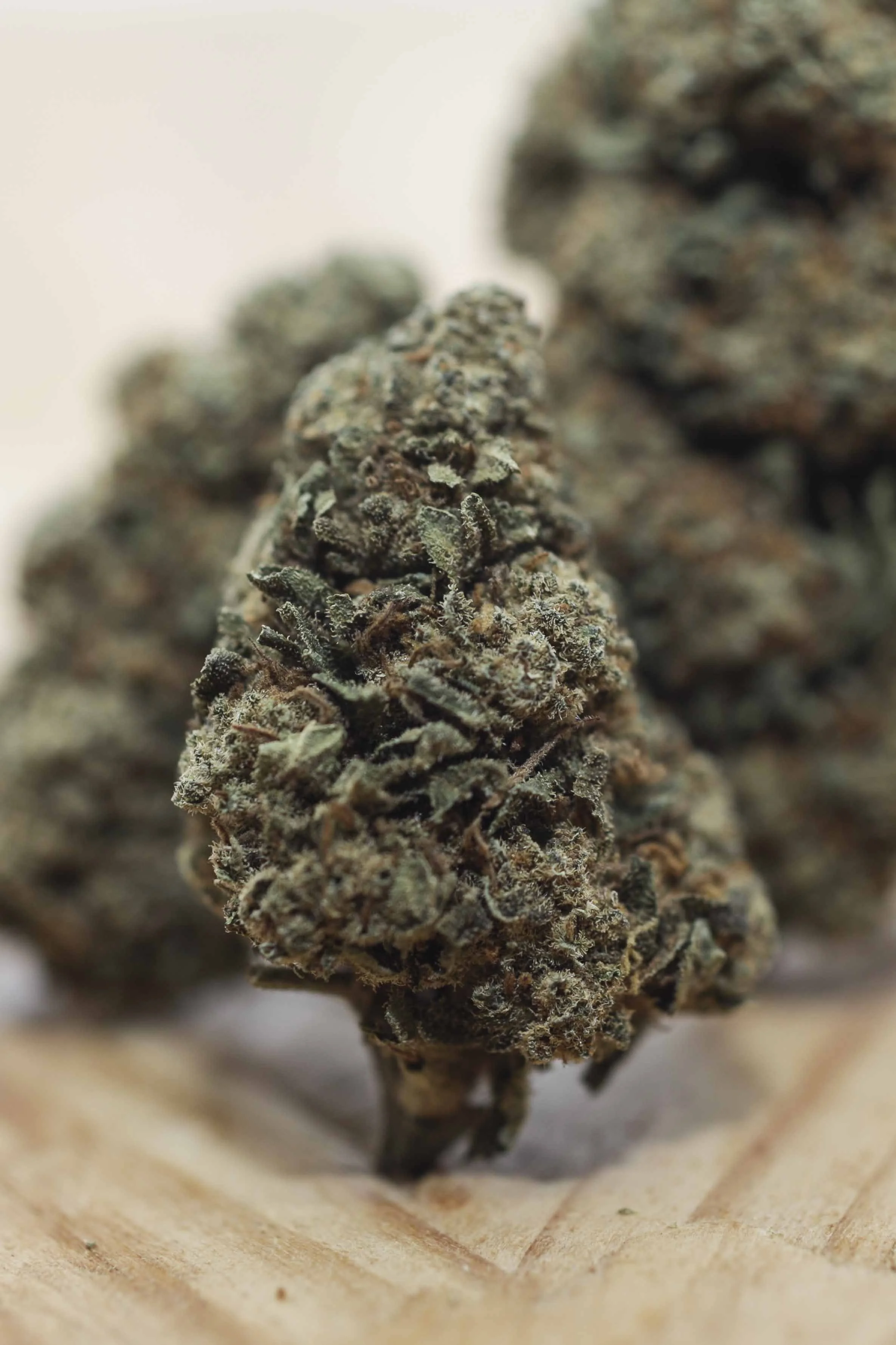 CBD PORTFOLIO - 004.JPG