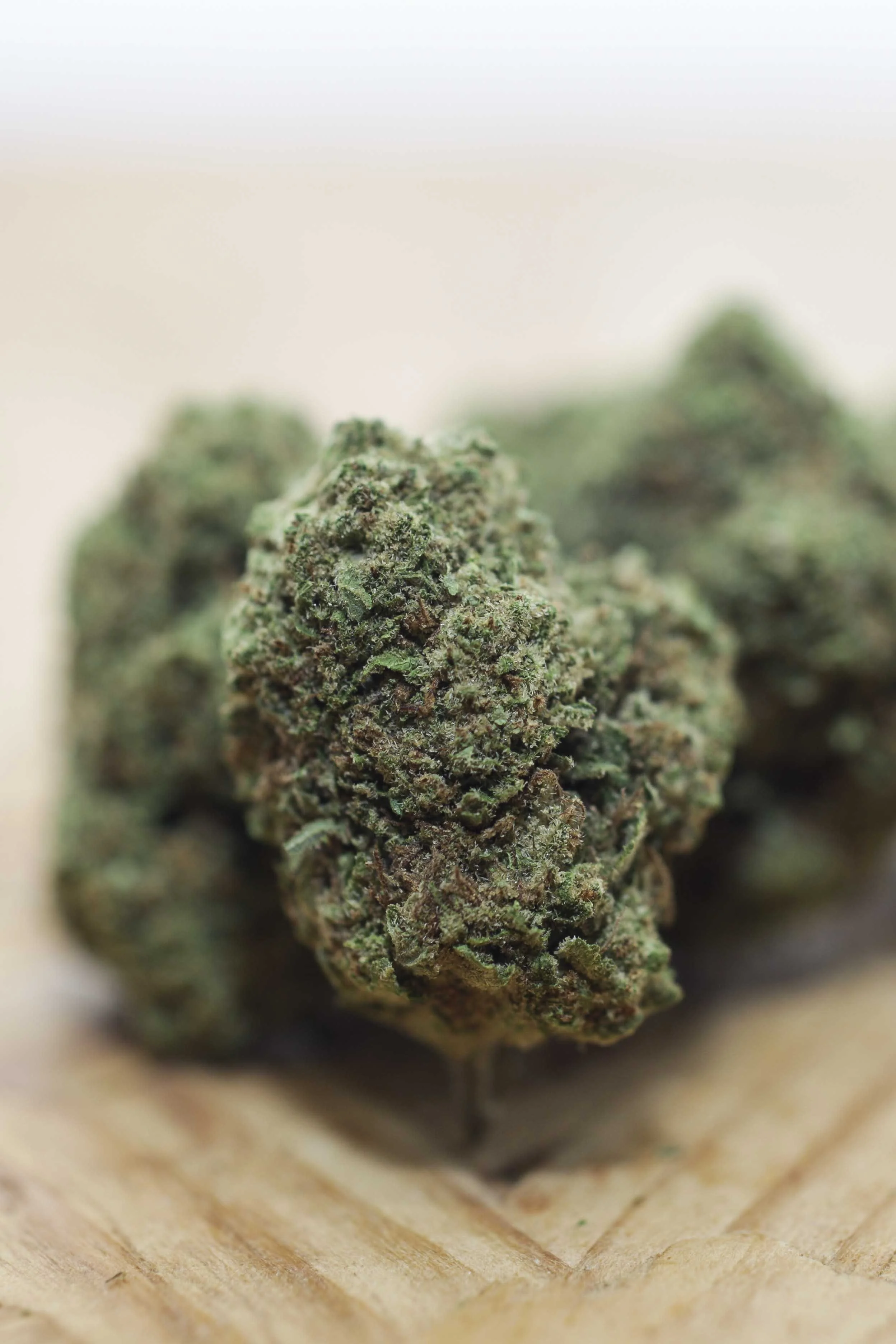 CBD PORTFOLIO - 007.JPG