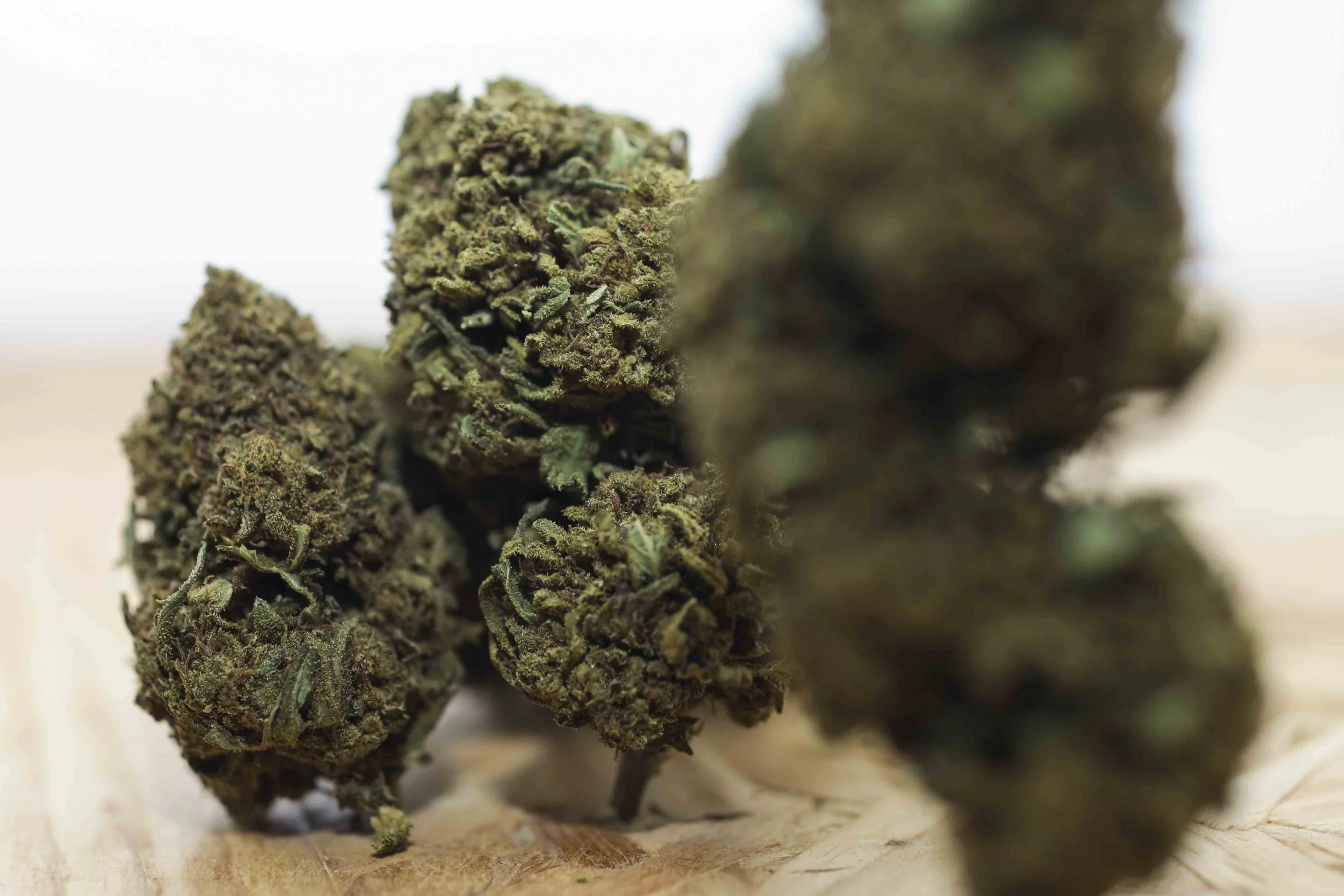 CBD PORTFOLIO - 012.JPG