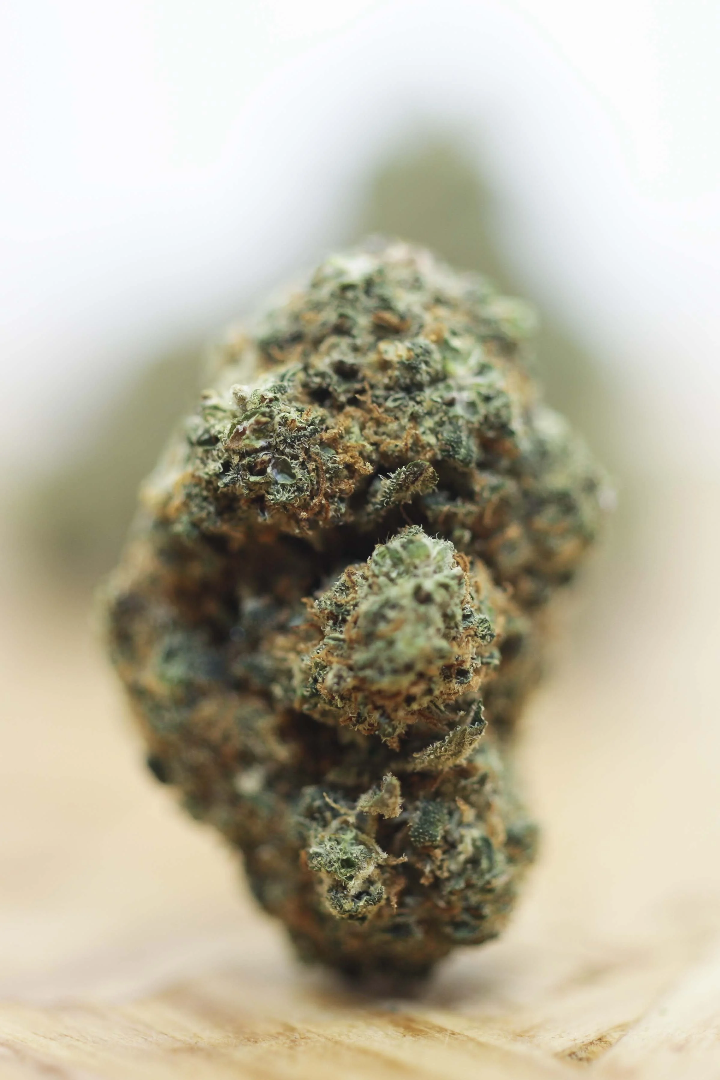 CBD PORTFOLIO - 019.JPG