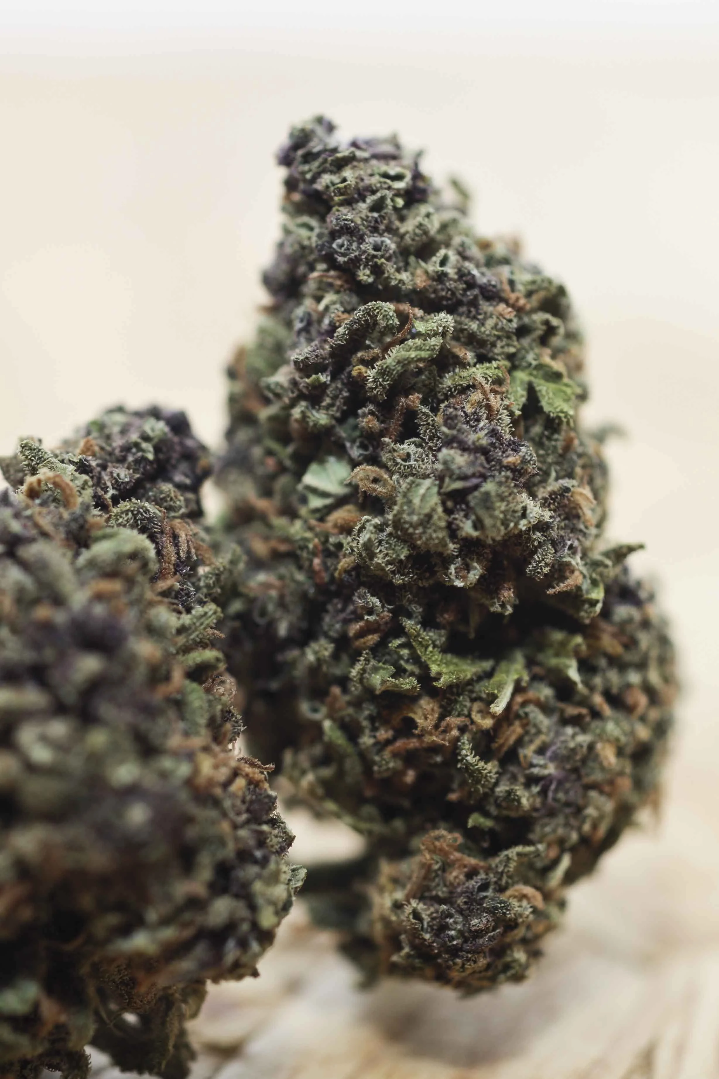 CBD PORTFOLIO - 035.JPG